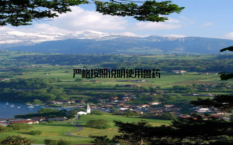 严格按照说明使用兽药