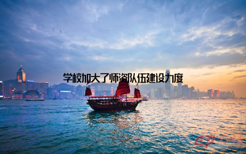 学校加大了师资队伍建设力度