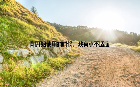 刚开始使用的时候, 我有点不适应