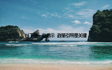 以下是一些启示 政策引导是关键