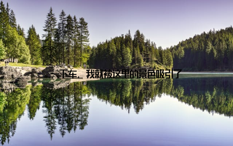 一下车, 我就被这里的景色吸引了