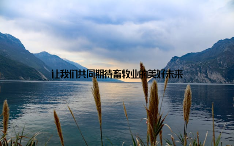 让我们共同期待畜牧业的美好未来