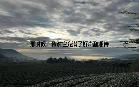 那时候, 我对它充满了好奇和期待