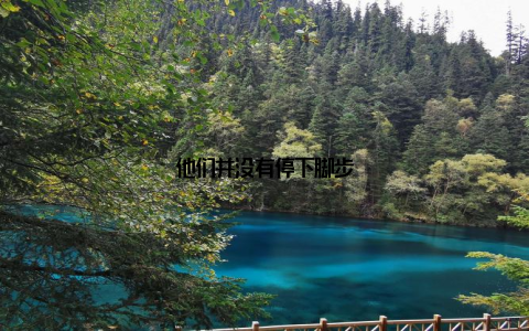 他们并没有停下脚步