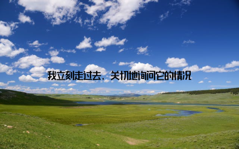 我立刻走过去, 关切地询问它的情况