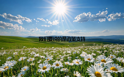 我们要说的是政策支持