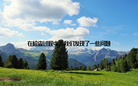 在检查过程中, 我们发现了一些问题