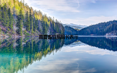 高要畜牧局局长表示