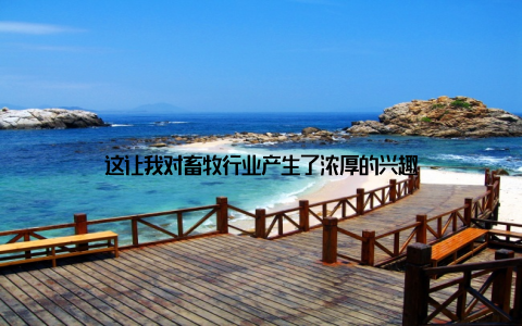 这让我对畜牧行业产生了浓厚的兴趣