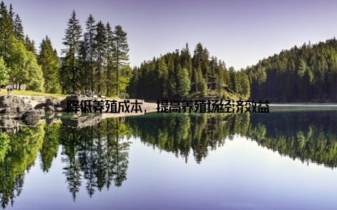 降低养殖成本, 提高养殖场经济效益