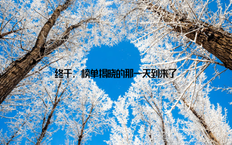 终于, 榜单揭晓的那一天到来了