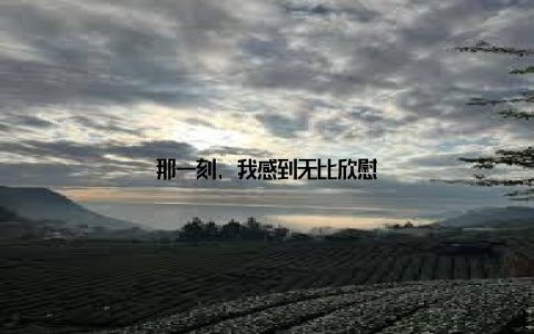 那一刻, 我感到无比欣慰