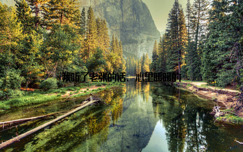 我听了老张的话, 心里暖暖的
