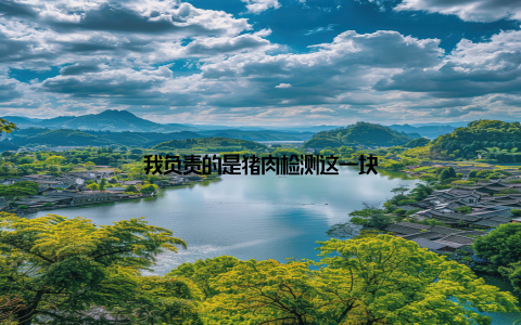 我负责的是猪肉检测这一块