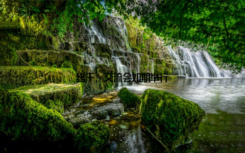 终于, 交流会如期举行