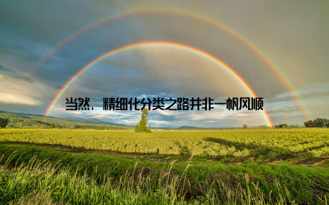 当然, 精细化分类之路并非一帆风顺