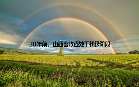 30年前, 山西畜牧还处于初级阶段