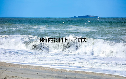 我们在饲料上下了功夫