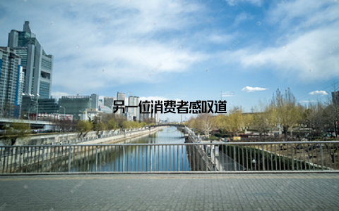 另一位消费者感叹道