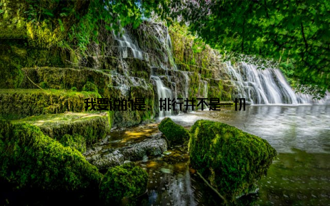 我要说的是, 排行并不是一切