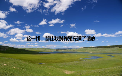 这一切, 都让我对养殖充满了信心