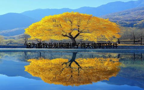 这为畜牧业发展提供了得天独厚的条件