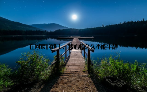 在回家的路上, 我心情久久不能平静