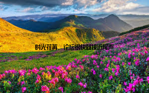 时光荏苒, 论坛很快就接近尾声
