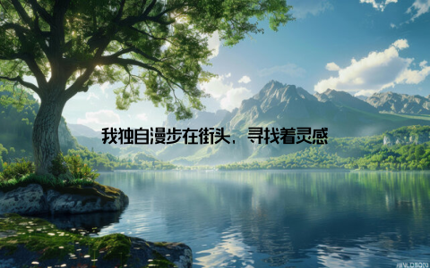 我独自漫步在街头, 寻找着灵感