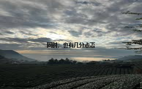 同时, 也有几分忐忑