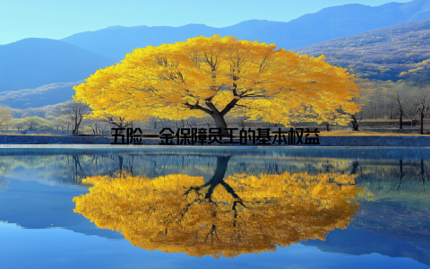 五险一金保障员工的基本权益