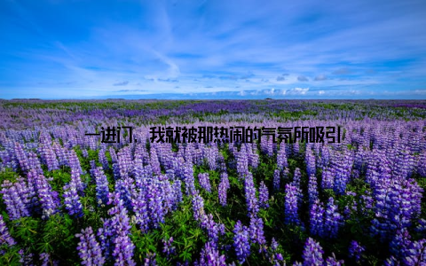 一进门, 我就被那热闹的气氛所吸引
