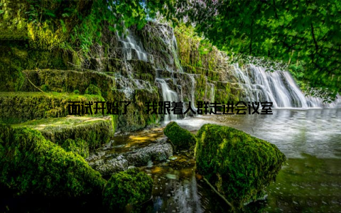 面试开始了, 我跟着人群走进会议室