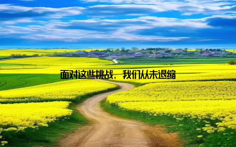 面对这些挑战, 我们从未退缩