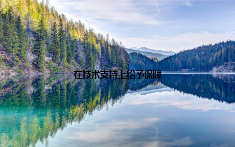 在技术支持上给予保障