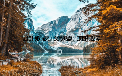 包括税收减免、贷款贴息、项目补贴等