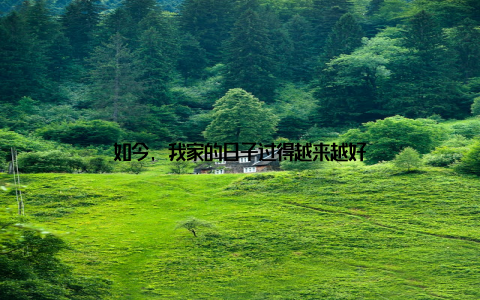 如今, 我家的日子过得越来越好