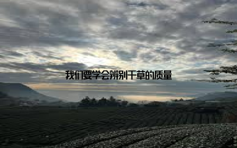我们要学会辨别干草的质量
