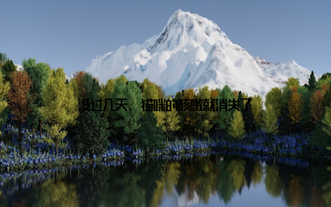 没过几天, 猫咪的咳嗽就消失了