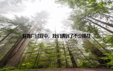 在推广过程中, 我们遇到了不少挑战