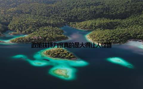 政策扶持力度真的是大得让人惊喜