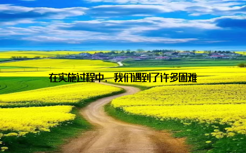在实施过程中, 我们遇到了许多困难