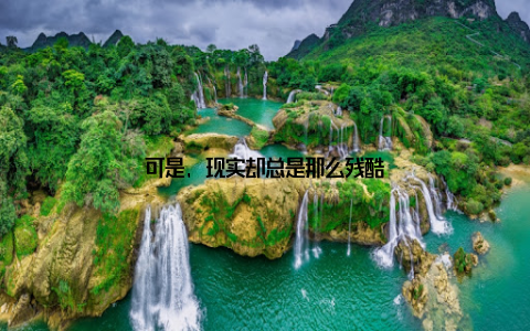 可是, 现实却总是那么残酷