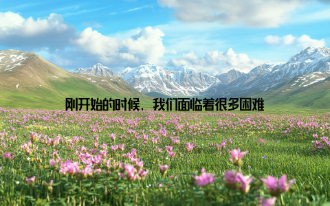 刚开始的时候, 我们面临着很多困难