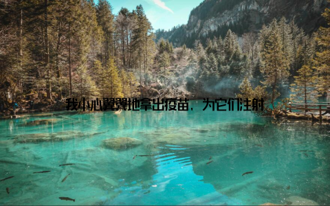 我小心翼翼地拿出疫苗, 为它们注射