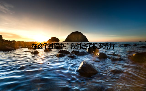 在这个过程中, 我付出了很多努力