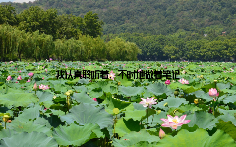 我认真聆听着, 不时地做着笔记