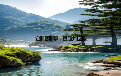 它耐寒耐旱, 适应力极强
