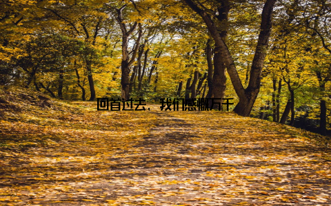 回首过去, 我们感慨万千