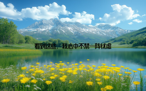 看到这些, 我心中不禁一阵忧虑